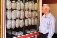 سه میلیون تن گوشت مرغ در کشور تولید شد سه میلیون تن گوشت مرغ در کشور تولید شد