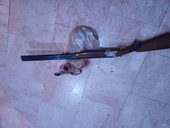 دستگیری متخلفین شکار غیر مجاز جانوران وحشی در شهرستان دهلران دستگیری متخلفین شکار غیر مجاز جانوران وحشی در شهرستان دهلران