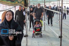 تردد زائران در مهران به ۲.۵ میلیون نفر رسید تردد زائران در مهران به ۲.۵ میلیون نفر رسید