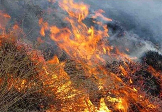 کاهش ۲۰ درصدی آتشسوزی در طبیعت ایلام/سهلانگاری همچنان تهدید است کاهش ۲۰ درصدی آتشسوزی در طبیعت ایلام/سهلانگاری همچنان تهدید است