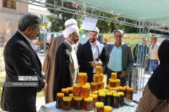 امام جمعه: عسل ایلام، فرصتی بینظیر برای اشتغال و ارزآوری است امام جمعه: عسل ایلام، فرصتی بینظیر برای اشتغال و ارزآوری است