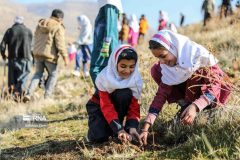 درختکاری در کلاس طبیعت؛ درس اول «مهر سبز» درختکاری در کلاس طبیعت؛ درس اول «مهر سبز»
