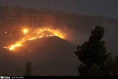 ۱۲ هکتار از جنگلهای تنگه رازیانه بدره در آتش سوخت ۱۲ هکتار از جنگلهای تنگه رازیانه بدره در آتش سوخت