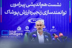 مدنی زاده: طرح ملی اعتبار ایرانیان اجرایی می شود مدنی زاده: طرح ملی اعتبار ایرانیان اجرایی می شود