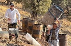 جنگلهایی که برای زغال میسوزند جنگلهایی که برای زغال میسوزند