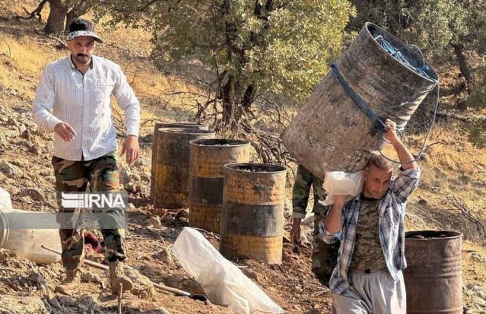 جنگلهایی که برای زغال میسوزند جنگلهایی که برای زغال میسوزند