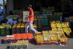 ساخت میدان میوه و ترهبار پایانی بر گرانی و نوسان قیمتها در ایلام ساخت میدان میوه و ترهبار پایانی بر گرانی و نوسان قیمتها در ایلام