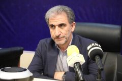 آغاز برداشت «طلای سفید» از شالیزارهای ایلام / رونق دوباره برنج‌کاری در حاشیه رودخانه سیکان