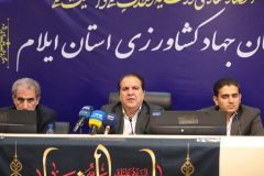 تاکید استاندار ایلام؛ متخلفان چرخه تولید و توزیع مرغ نقره‌داغ می‌شوند