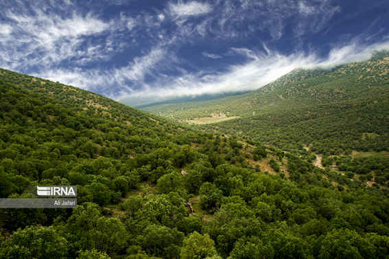 عروس دلربای زاگرس کجاست؟