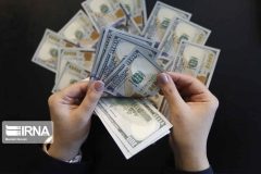 آیا همتی می‌تواند مشکلات ارزی را حل کند؟