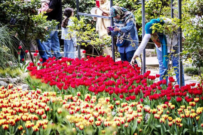 باغ ایرانی؛ بهشتی از گل‌ها در دل تهران
