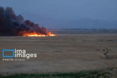 آتش‌سوزی کشتزارهای مهران مهار شد
